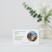 Carte de visite Romance de cheval (Debout devant)