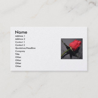 Carte De Visite rose