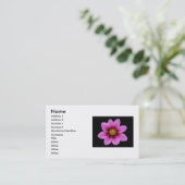 Carte de visite rose (Debout devant)