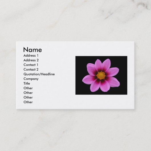 Carte de visite rose (Devant)