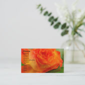 Carte De Visite Rose dans Mon Jardin (Debout devant)