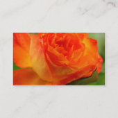 Carte De Visite Rose dans Mon Jardin (Dos)