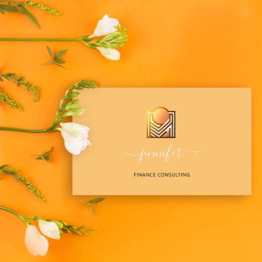 Carte De Visite Rose de Bitcoins comptable comptable de Finance Co