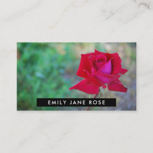 Carte De Visite Rose de Crimson rouge, fleuriste