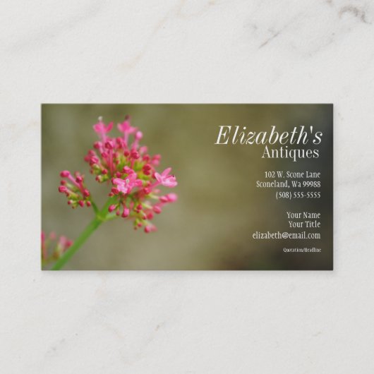 Carte de visite rose de fleur (Devant)