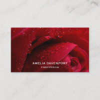 Rose de macro rouge avec gouttelettes d'eau