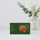 Carte de visite rose d'orange (Debout devant)