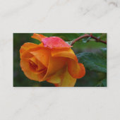 Carte de visite rose d'orange (Dos)
