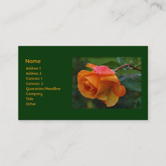Carte de visite rose d'orange (Devant)