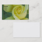 Carte de visite rose jaune (Devant / Derrière)
