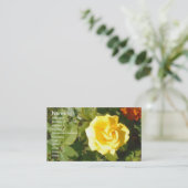 Carte De Visite Rose jaune (Debout devant)