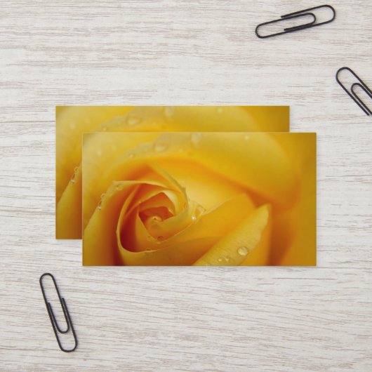 CARTE DE VISITE ROSE JAUNE (Devant/Arrière en situation)