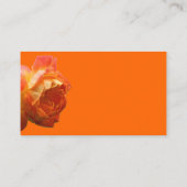Carte de visite Rose orange (Dos)