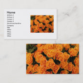 Carte de visite Rose orange (Devant / Derrière)