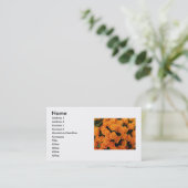 Carte de visite Rose orange (Debout devant)