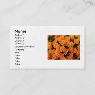Carte de visite Rose orange