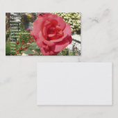 Carte De Visite Rose rose dans le jardin de grand-mère (Devant / Derrière)