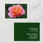 Carte De Visite Rose rose, Mini photo (Devant / Derrière)