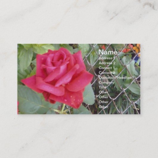 Carte De Visite Rose rouge (Devant)