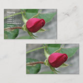 Carte De Visite Rose rouge (Devant / Derrière)