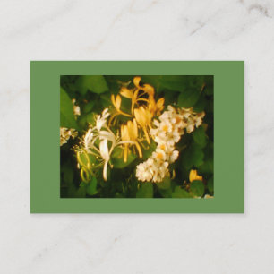Carte De Visite Rose sauvage et chèvre