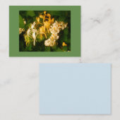 Carte De Visite Rose sauvage et chèvre (Devant / Derrière)