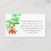 Carte De Visite Rosehips Rose Herbe Plante botanique Rouge (Dos)