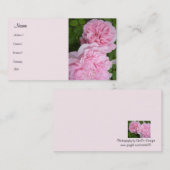 Carte De Visite Roses roses en fleurs (Devant / Derrière)