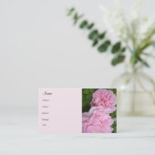 Carte De Visite Roses roses en fleurs (Debout devant)