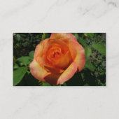 Carte De Visite Rosier pêche (Dos)