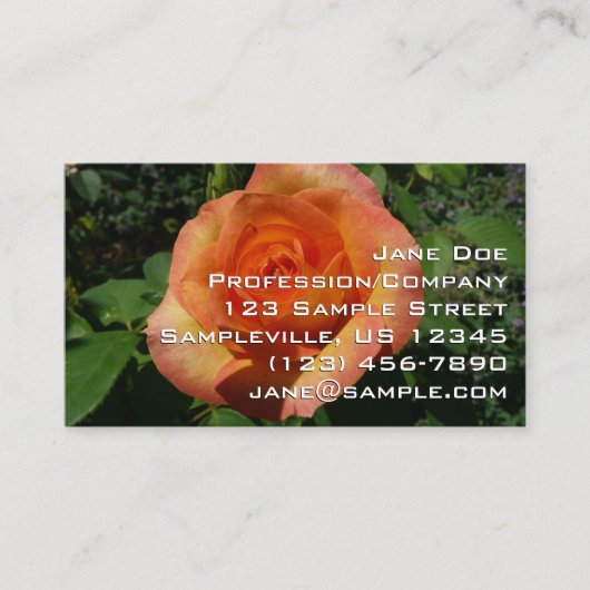 Carte De Visite Rosier pêche (Devant)