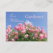 Carte De Visite Rosier rose sous ciel bleu, coutume (Devant)