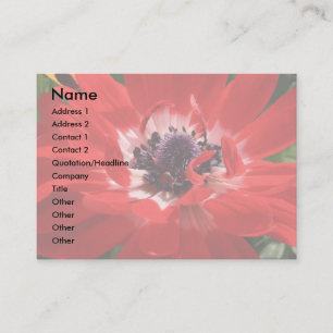 Carte de visite rouge d'anémone