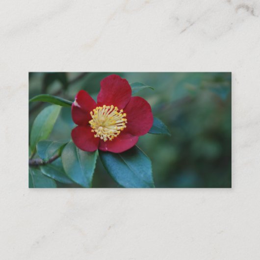 Carte de visite rouge de fleur (Devant)