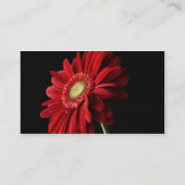 Carte de visite rouge de marguerite de Gerber (Dos)