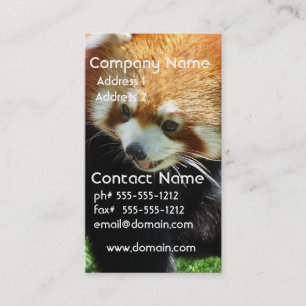 Carte de visite rouge mignon d'ours panda