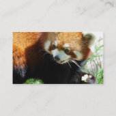 Carte de visite rouge mignon d'ours panda (Dos)