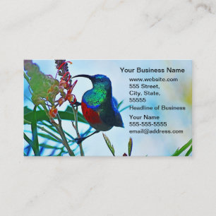 Carte De Visite Rubis de colibri throated