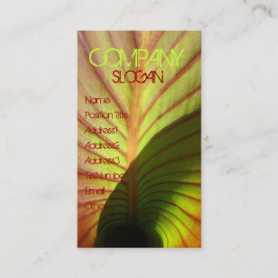 Carte De Visite Rustique