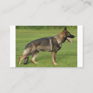 Carte De Visite Sable berger allemand complet