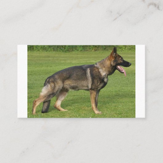 Carte De Visite Sable berger allemand complet (Devant)