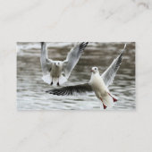 Carte De Visite Saguls en vol (Dos)