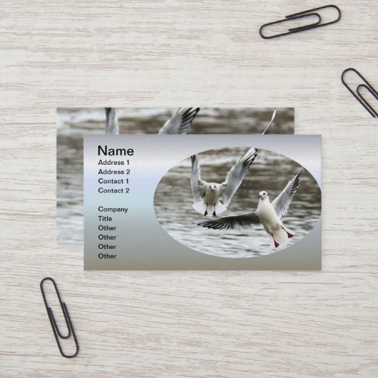 Carte De Visite Saguls en vol (Devant/Arrière en situation)