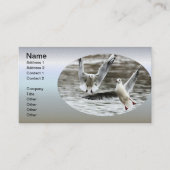 Carte De Visite Saguls en vol (Devant)