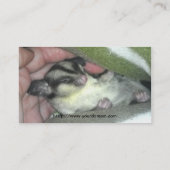 Carte De Visite Saigneuse à sucre dormant dans la couverture (Dos)