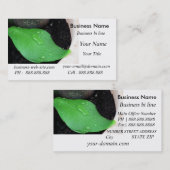 Carte de visite sain (Devant / Derrière)