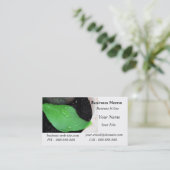 Carte de visite sain (Debout devant)