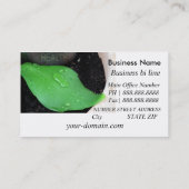 Carte de visite sain (Dos)