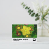 Carte De Visite Saint-Jean (Debout devant)