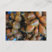Carte De Visite Salak [Fruit de serpent] (Dos)